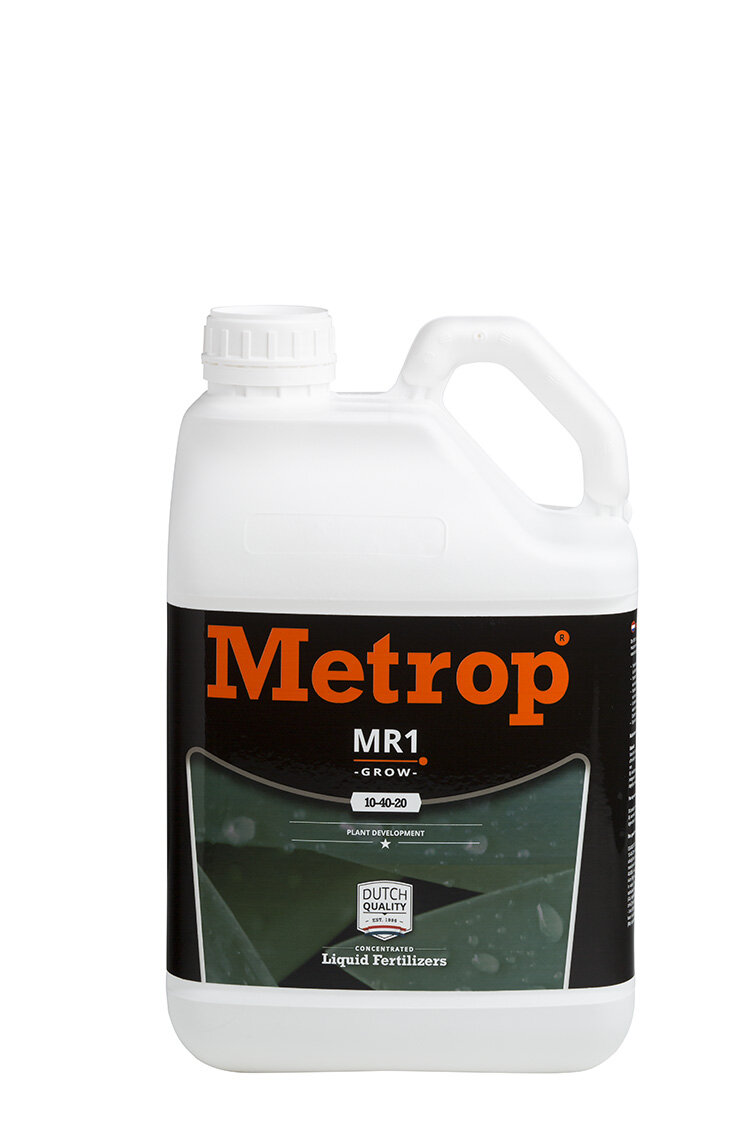 Metrop MR1 5 L (Wachstumphase)