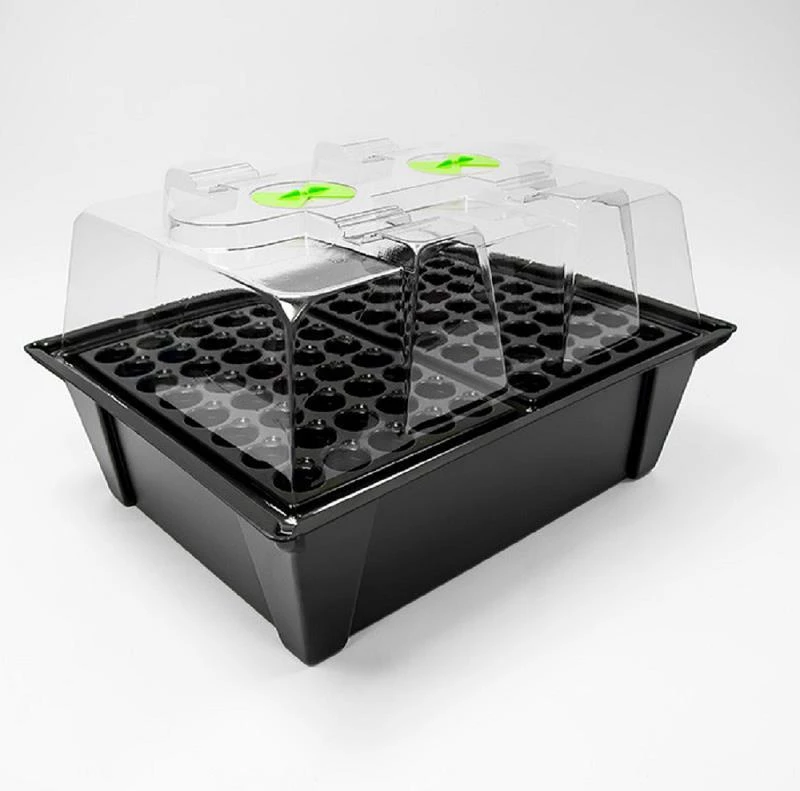 Nutriculture X Stream 80 KITBOX